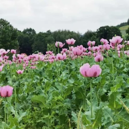 Willkommen Im Apartment