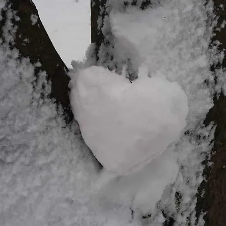 Apartment Willkommen Im