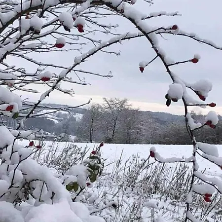 Willkommen Im Apartment Kalletal