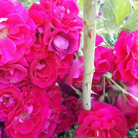 Willkommen Im * Kalletal