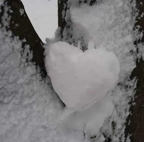 Apartmán Willkommen Im