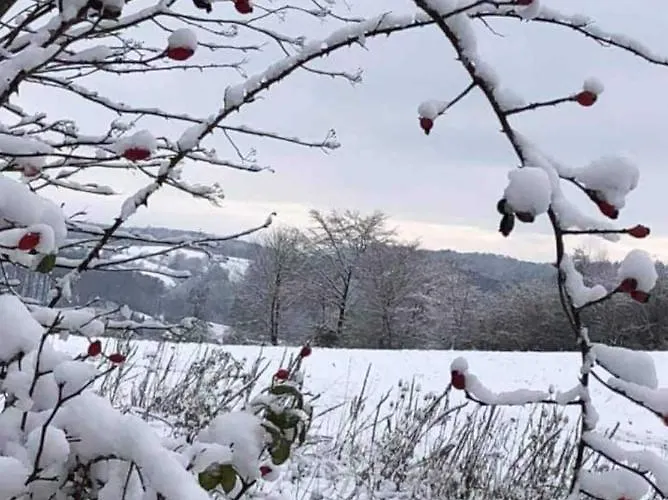 Willkommen Im Apartmán Kalletal