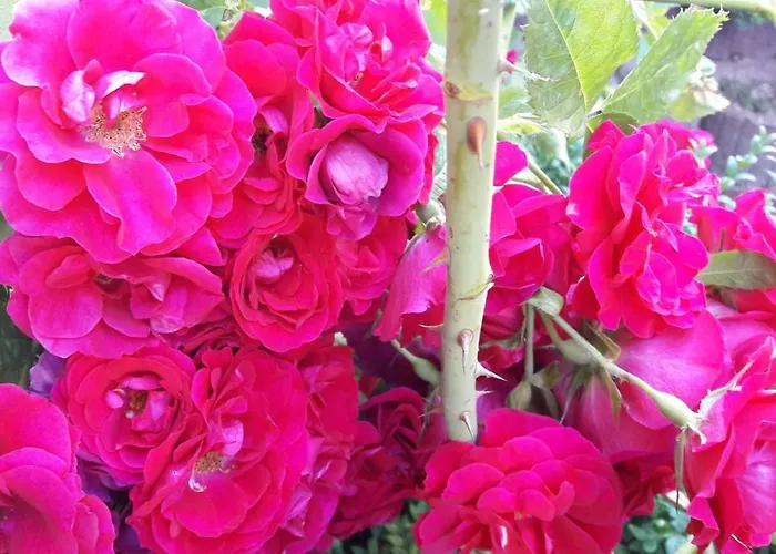 Willkommen Im * Kalletal